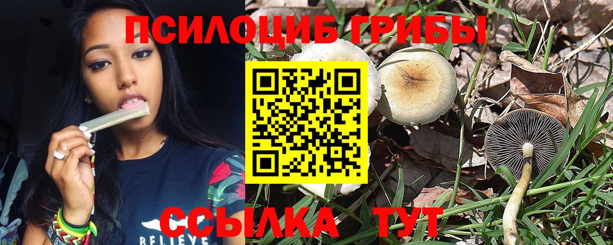 Псилоцибиновые грибы GOLDEN TEACHER  Вход с VPN  Юрга  Галлюциногенные грибы GOLDEN TEACHER 