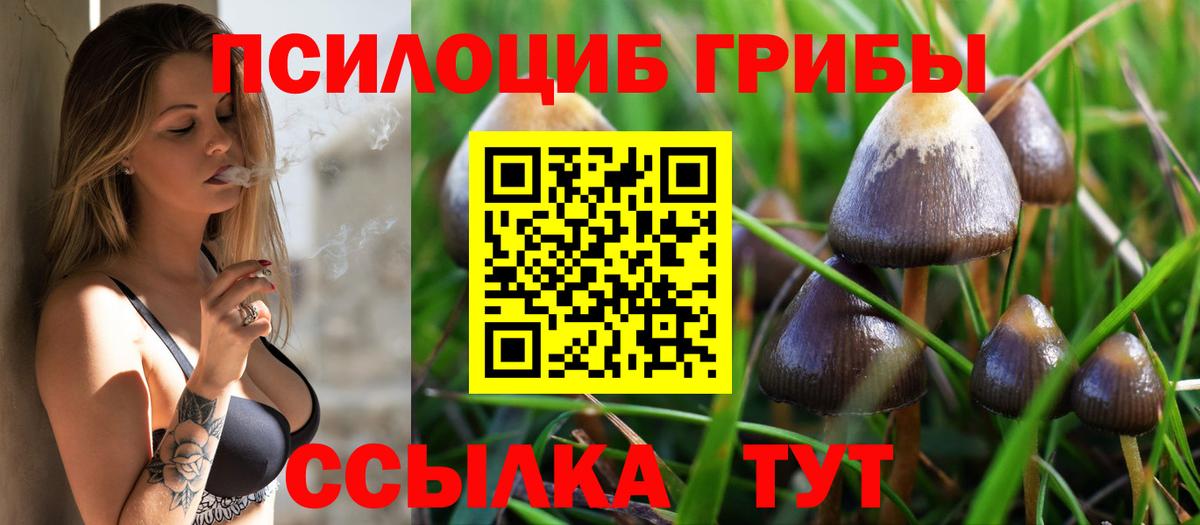 Галлюциногенные грибы ЛСД Юрга